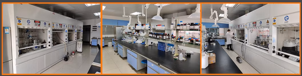Analytical Reagents and Coagulants Calcium Silicate CAS 1344-95-2