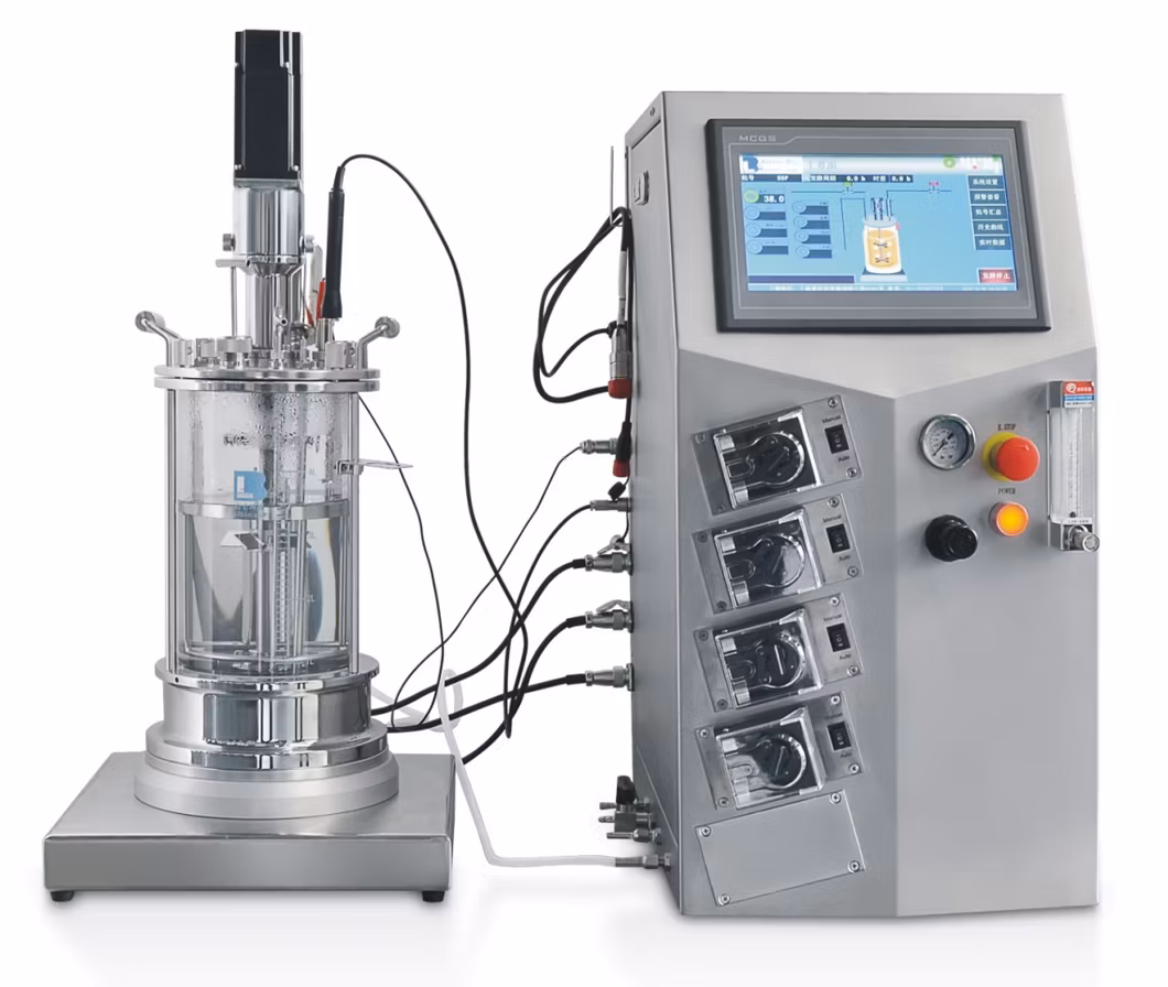 Dimensions Single Use Bioreactor Microbial Biotechnology Disposable Bag