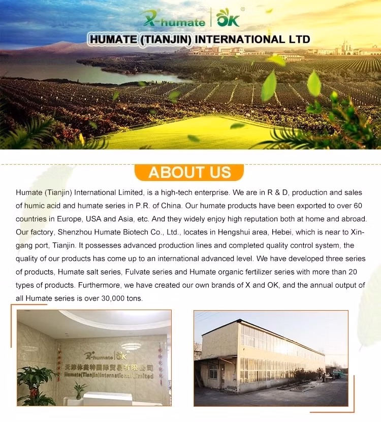 Bulk Formulation Fertilizer Agriculture Use Liquid Seaweed Extract
