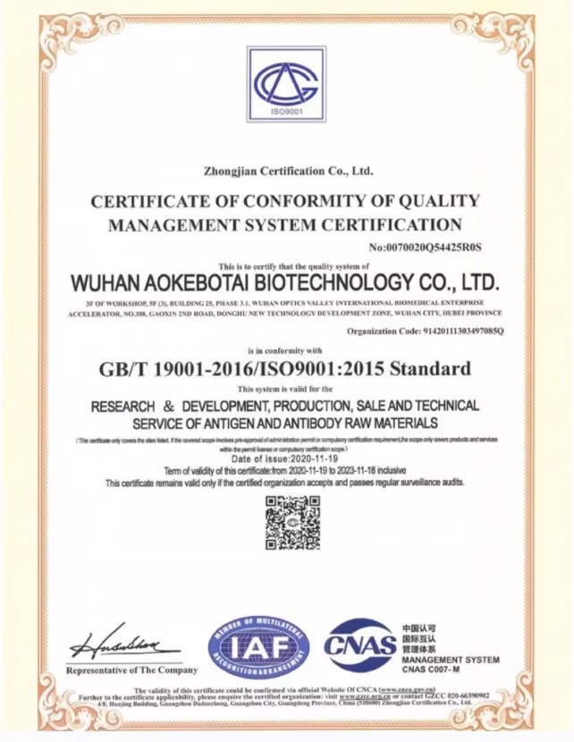 Research Antibodies Methylglyoxal monoclonal antibody MGO supplied by Auker Biotech
