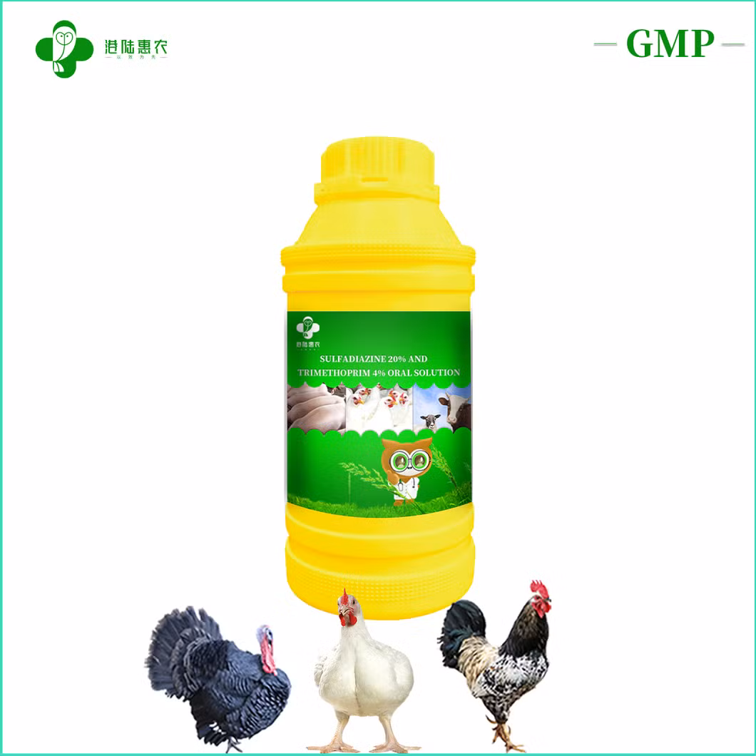 Shanghai Ganglu Huinong Biotechnology Veterinary Medicine Sulfadiazine 10% and Trimethoprim 2% Oral Solution for Cattle Sheep Chicken Swine Poultry