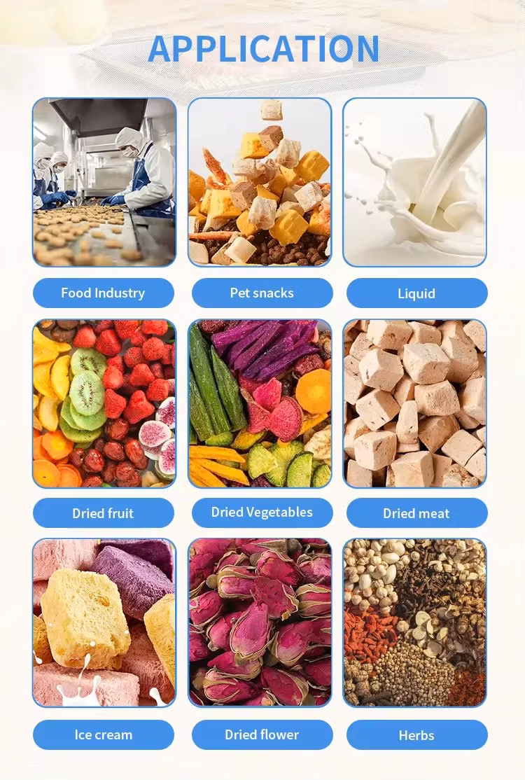 Commercial Industrial Food Vacuum Freeze Dryer Machine for Beauty Health Care Industry