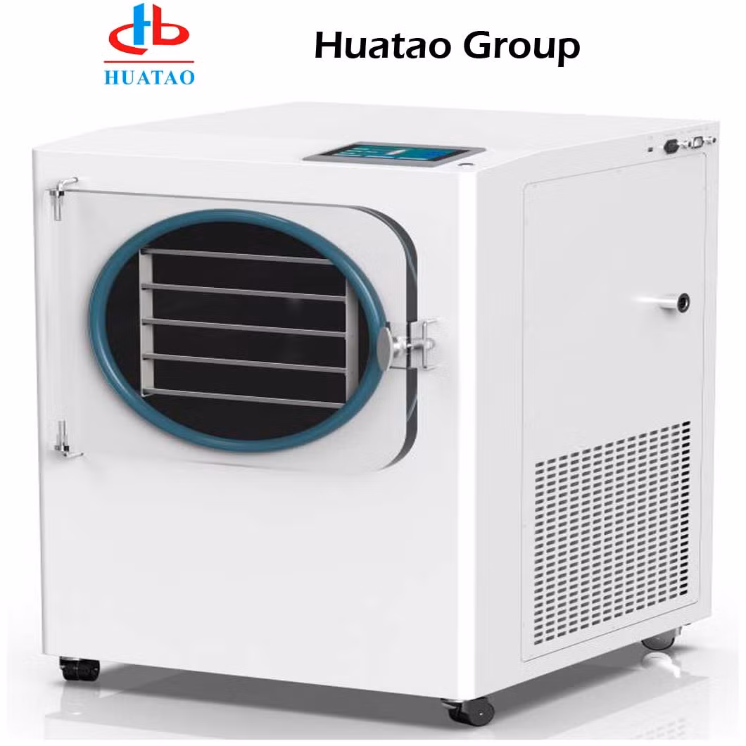 Ht-9s Freeze Dryer Machine for Food Industry