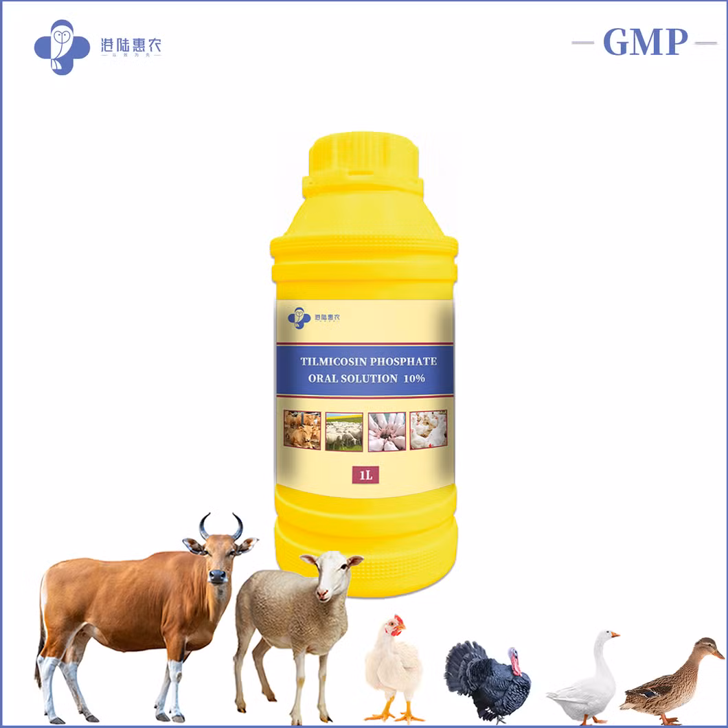 Shanghai Ganglu Huinong Biotechnology Veterinary Medicine Pharmaceutical Chemical Tilmicosin Phosphate Oral Solution 10% 20% 25% for Chicken Poultry