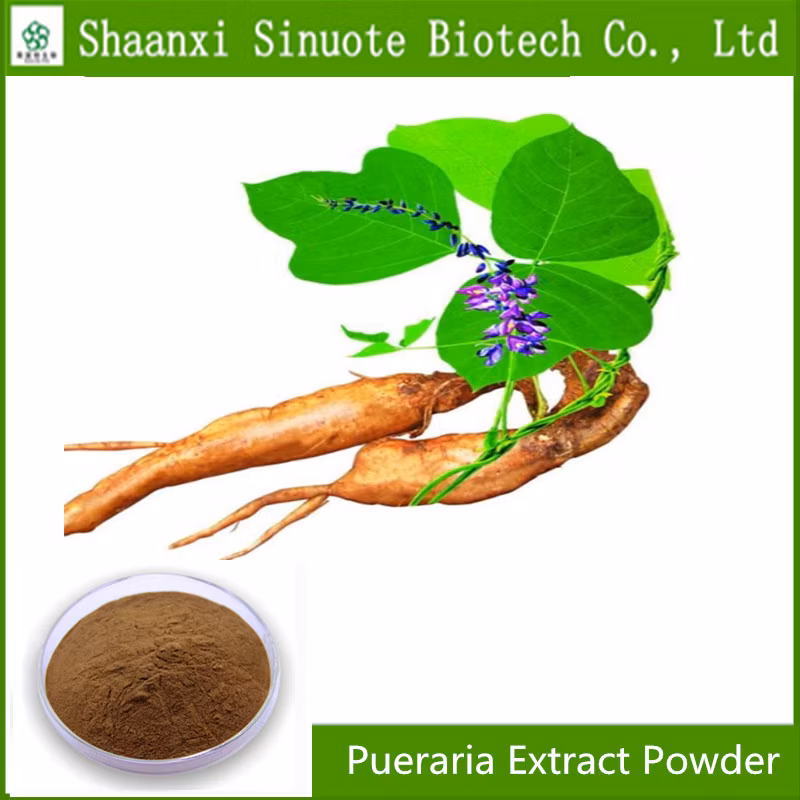 Factory Supply Directly Pueraria Extract Powder