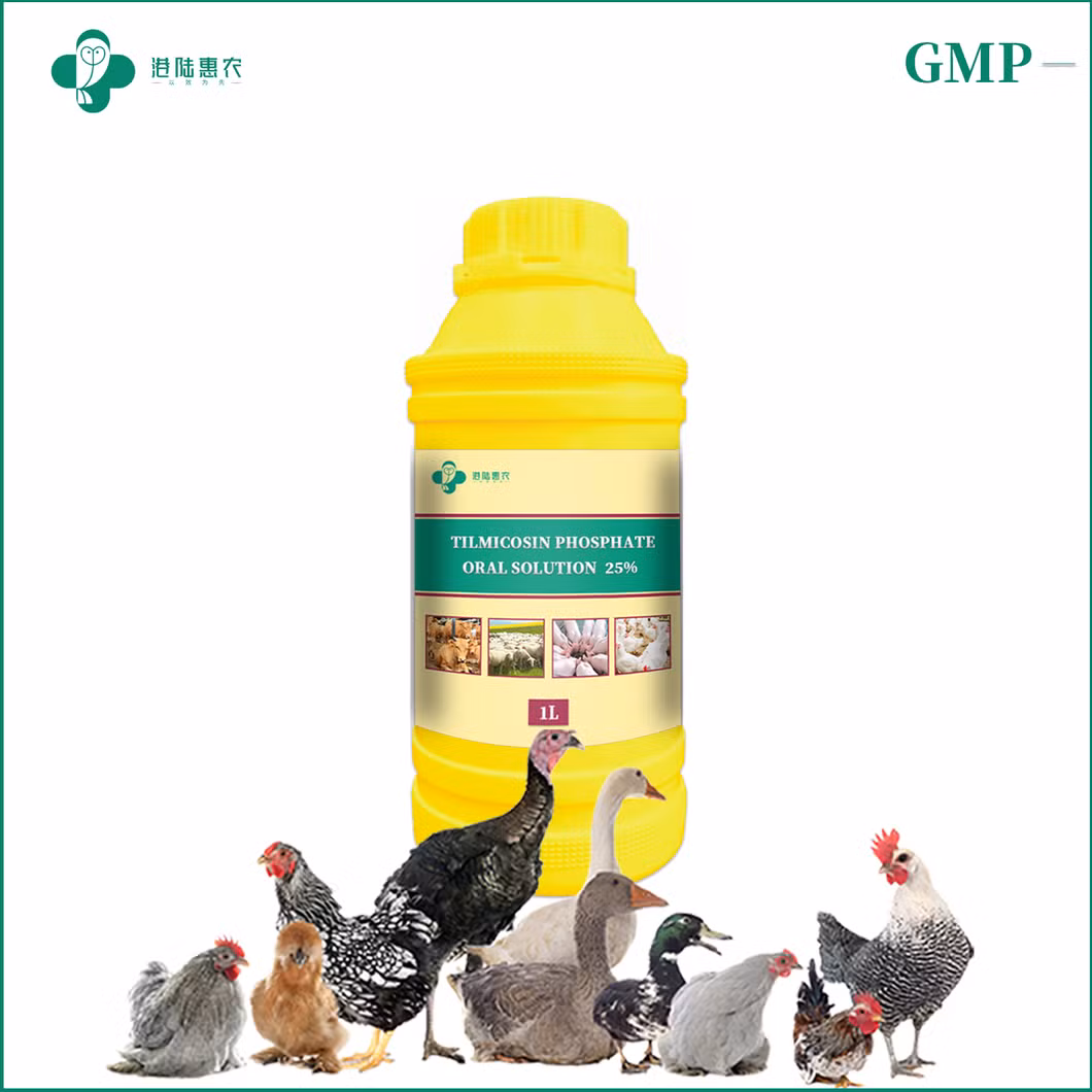 Shanghai Ganglu Huinong Biotechnology Veterinary Medicine Pharmaceutical Chemical Tilmicosin Phosphate Oral Solution 10% 20% 25% for Chicken Poultry