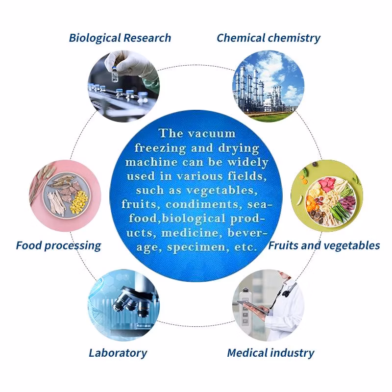Commercial Industrial Food Vacuum Freeze Dryer Machine for Beauty Health Care Industry