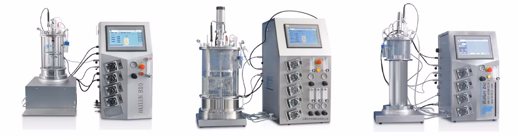 Bioreactor System Design Biotechnology, Bioprocessing and Presentation