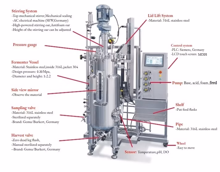 Advanced Synthetic Biology for Amino Acid Fermentation Technology Engineering Stainless Steel Fermenter Temporary Immersed Bioreactor