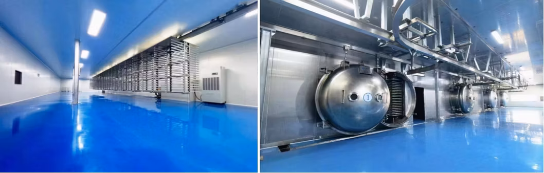 Commercial Industrial Food Vacuum Freeze Dryer Machine for Beauty Health Care Industry