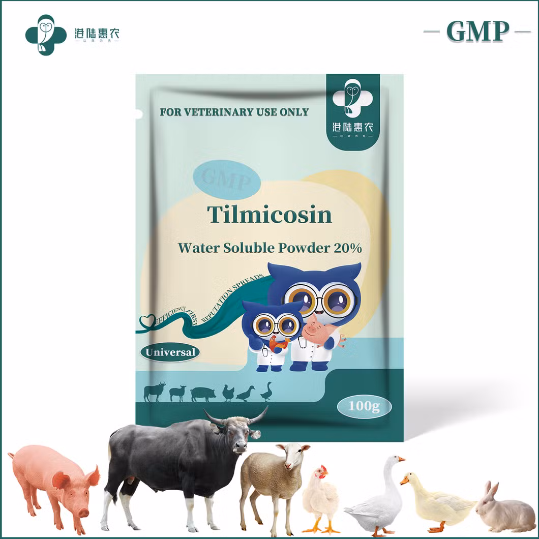 GMP Certification Veterinary Health Product Antibacterial Drug Tilmicosin Water Soluble Powder 10% 20% 30% Chicken Antibiotics