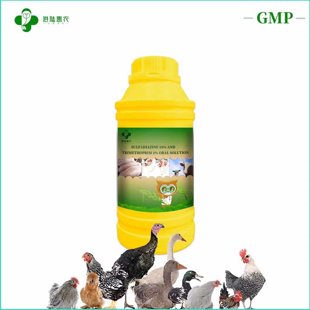 Shanghai Ganglu Huinong Biotechnology Veterinary Medicine Sulfadiazine 10% and Trimethoprim 2% Oral Solution for Cattle Sheep Chicken Swine Poultry
