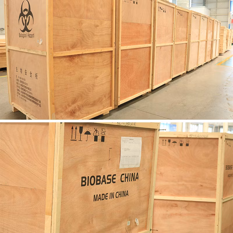 Biobase Nucleic Acid and Protein Electrophoresis Tank Horizontal for Gene Test