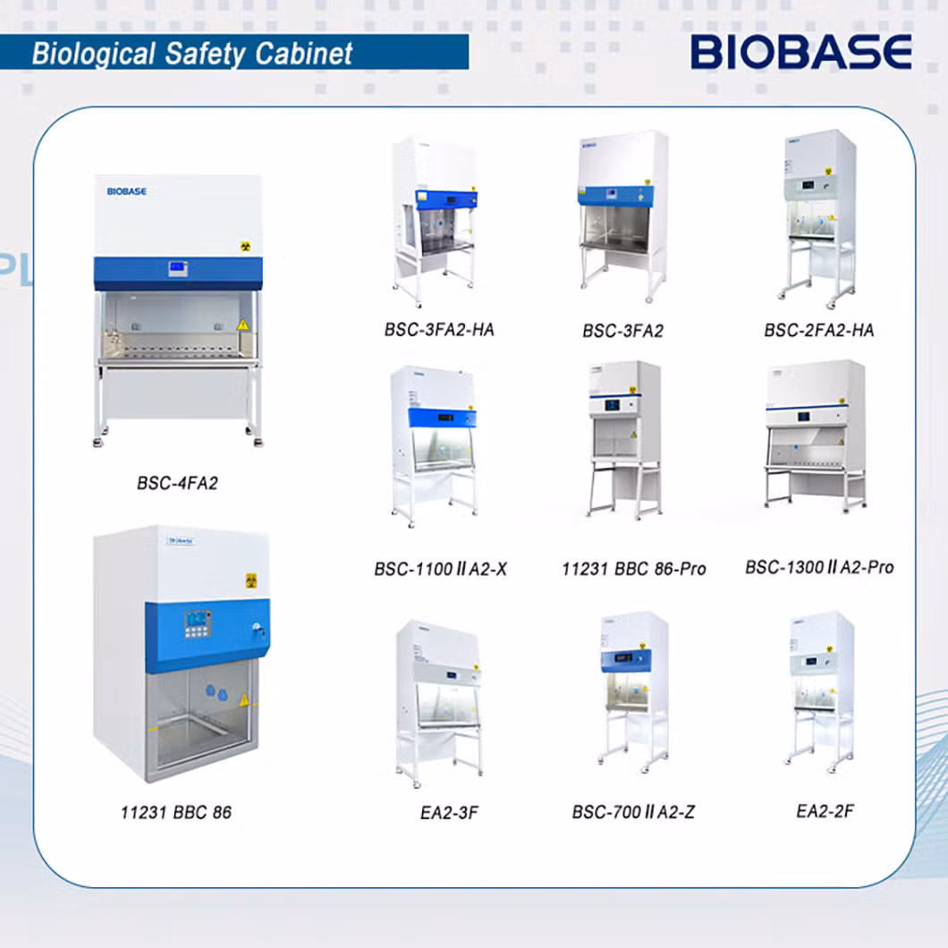 Bjpx-Ht400bii Automatic Incubators 400L Constant Temperature and Humidity Incubator