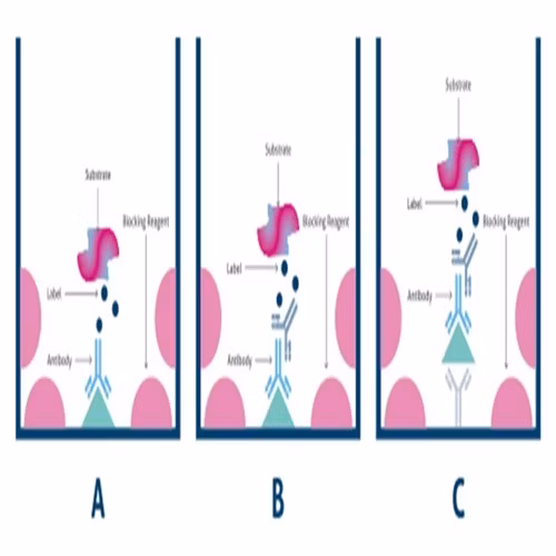 Cxcl5 Ngal Cortisol Antibody Elisa Kits