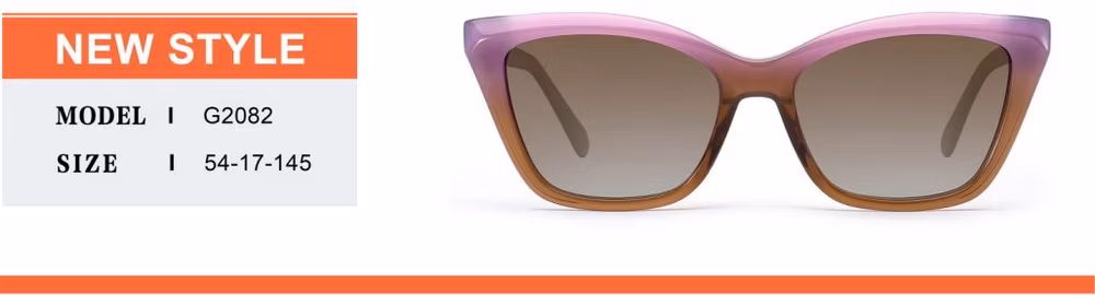 2024 New Arrival High Quality Hot Sale Oversize Cat Eye Acetate Frame PC Lens UV400 Fashion Sunglasses