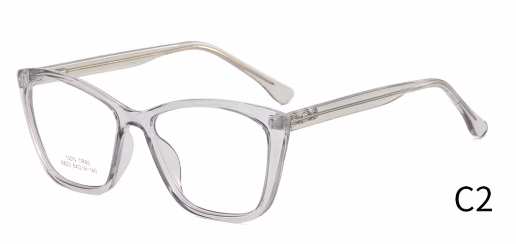 PC Eyeglasses Frames with Cp Wire Temple Ready Goods
