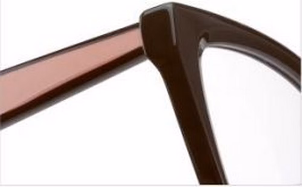 2024 New Arrival OEM High Quality Full Rim Acetate Transparent Cat Eye Unisex Optical Frame
