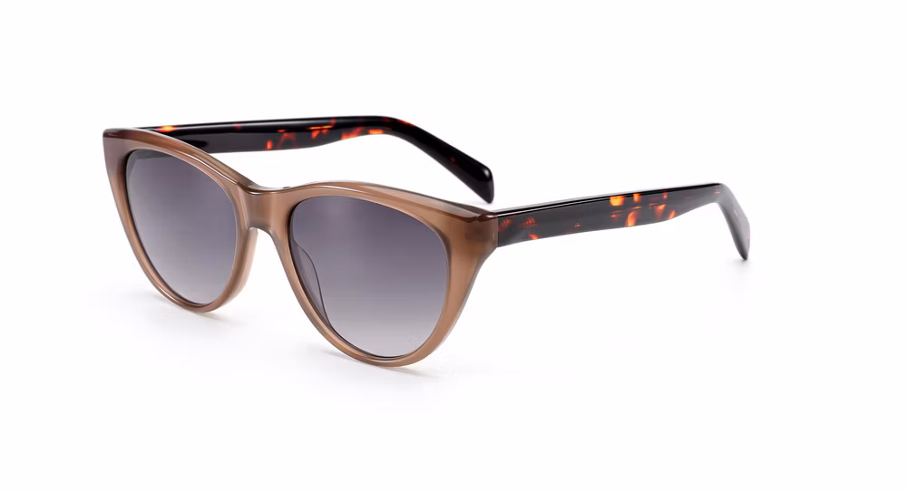2024 OEM New Arrival High Quality Hot Sale Cat Eye Transparent Acetate Frame PC Lens UV400 Fashion Sunglasses