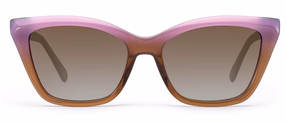 2024 New Arrival High Quality Hot Sale Oversize Cat Eye Acetate Frame PC Lens UV400 Fashion Sunglasses