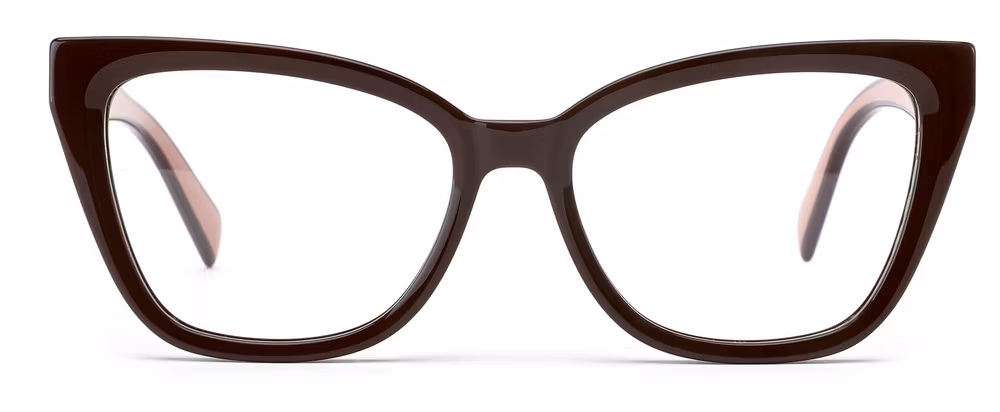 2024 New Arrival OEM High Quality Full Rim Acetate Transparent Cat Eye Unisex Optical Frame