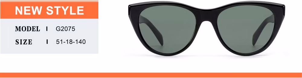 2024 OEM New Arrival High Quality Hot Sale Cat Eye Transparent Acetate Frame PC Lens UV400 Fashion Sunglasses