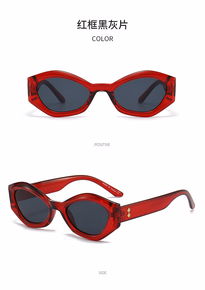 2024 New Factory Price Fashion Cat-Eye Sunglasses Sunglasses Women′s Fashion All Match Women′s PC Sunglasses