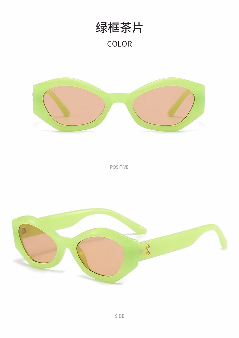 2024 New Factory Price Fashion Cat-Eye Sunglasses Sunglasses Women′s Fashion All Match Women′s PC Sunglasses
