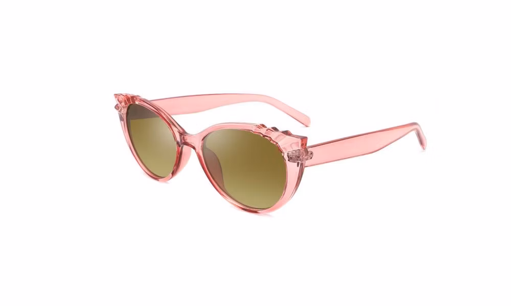 2024 New Arrival Full Rim Cat Eye Style PC Transparent Frame Fashion Unisex Sunglasses with 100% UV400 Polarized Lenses
