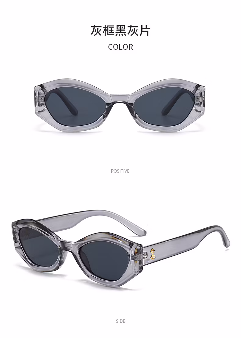2024 New Factory Price Fashion Cat-Eye Sunglasses Sunglasses Women′s Fashion All Match Women′s PC Sunglasses
