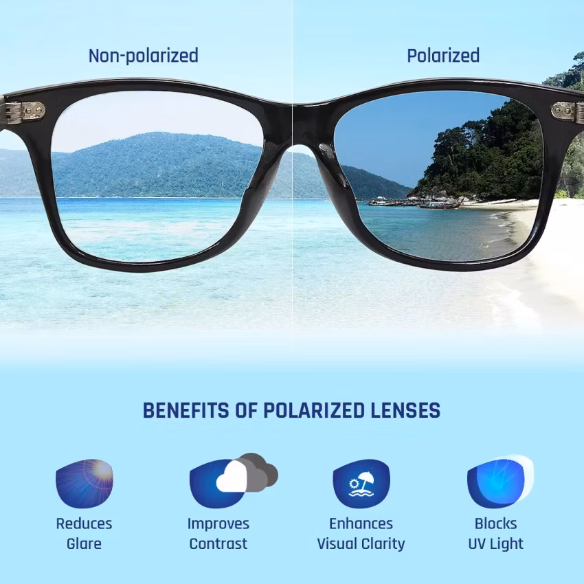 Wholesale Circle Big Frame Glasses Fashion Double Bridge Brand Kid′s Sunglasses Polarized