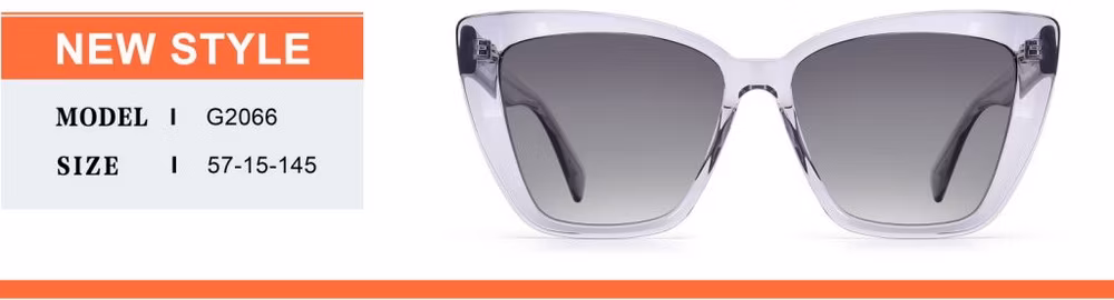 2024 OEM New Arrival High Quality Hot Sale Large Cat Eye Acetate Frame PC Lens UV400 Fashion Sunglasses