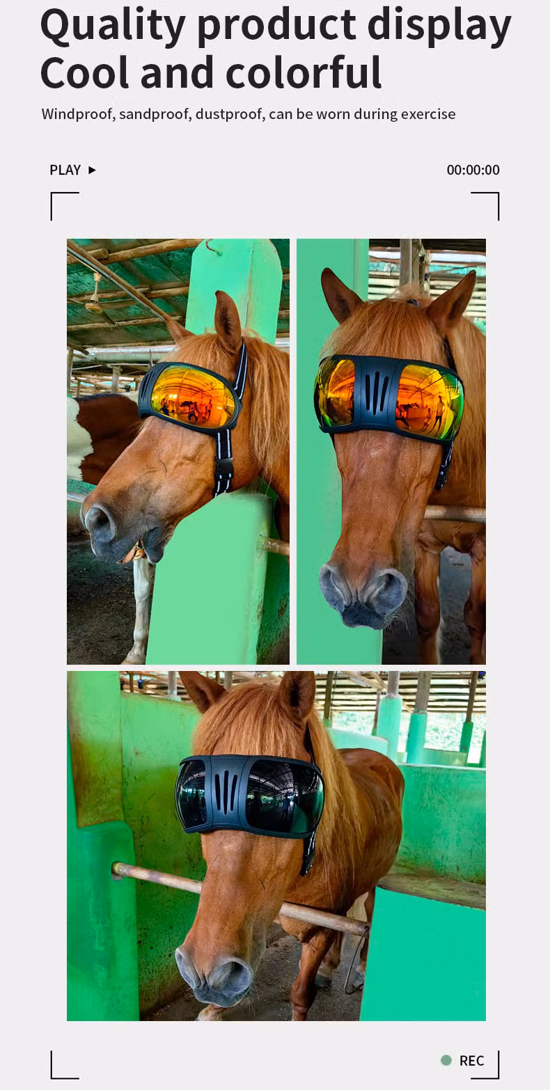 Horse Goggles 3020 UV Pet Glasses Horse Sunglasses Horse Protective Gear Glasses
