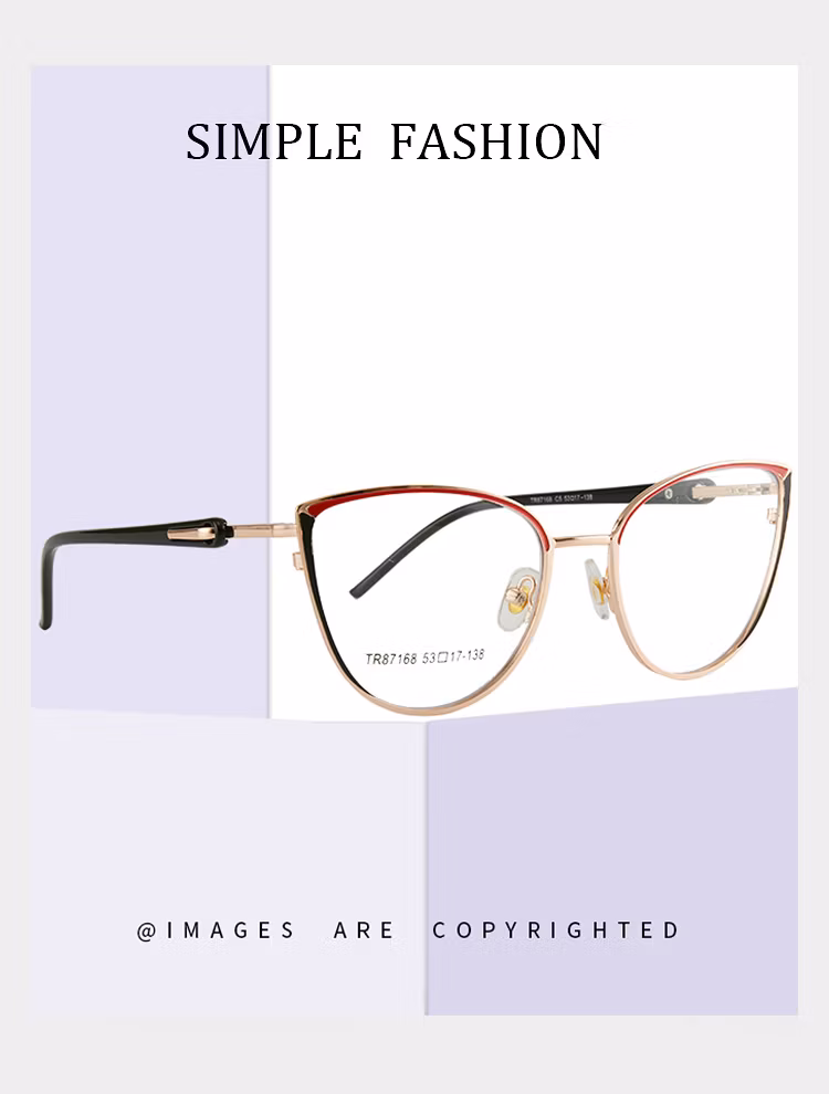 Tr87168 Hot Selling Anti Blue Light Trendy Glasses Limmed Custom Eyewear Anti Blue Light Glasses Clear