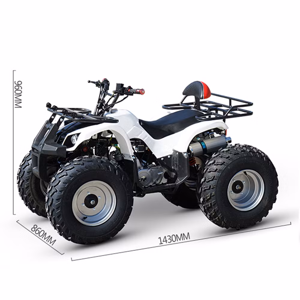 2024 125ccatv Four-Wheeled Dune Buggy for Child
