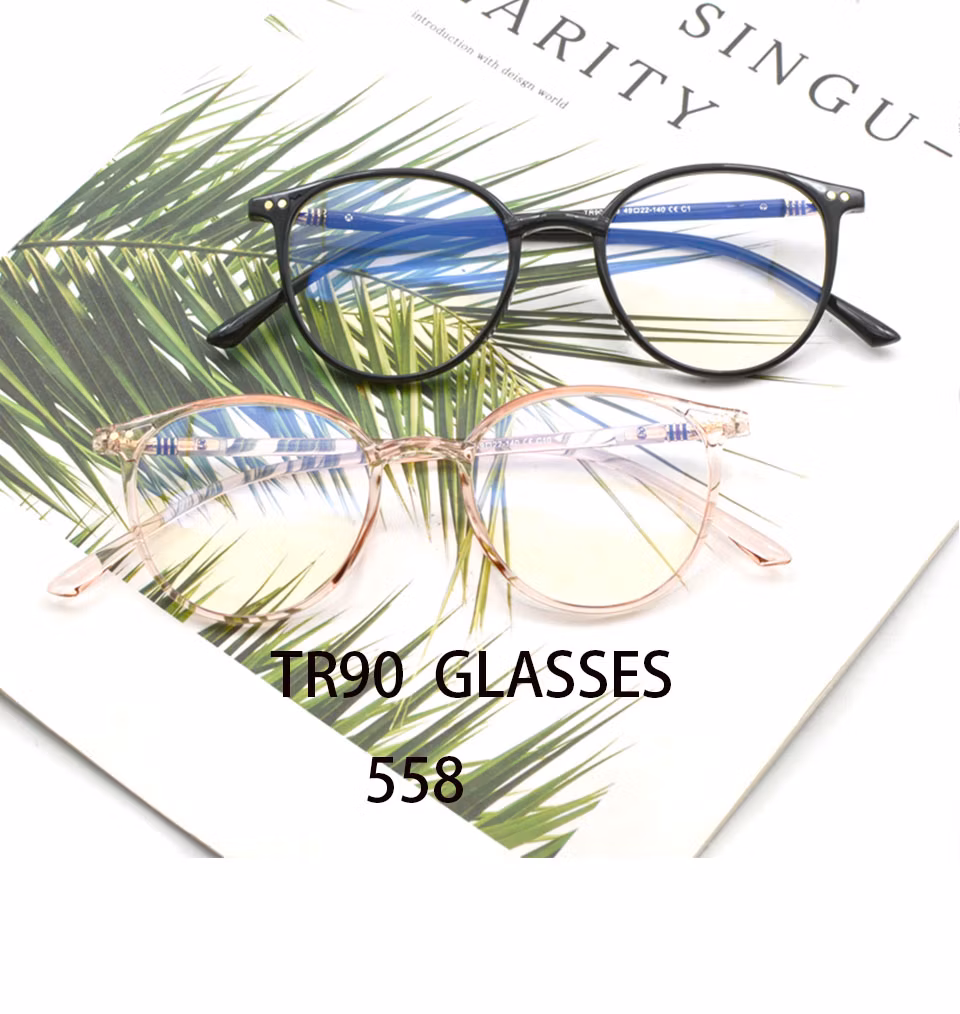 Trendy Circular Eyeglasses Frame Fashionable Tr90 Optical Frame for Men and Women for Eyewear and Sunglass Use