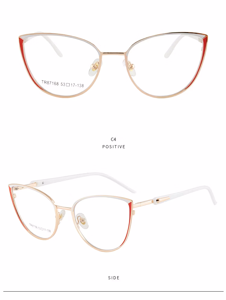 Tr87168 Hot Selling Anti Blue Light Trendy Glasses Limmed Custom Eyewear Anti Blue Light Glasses Clear