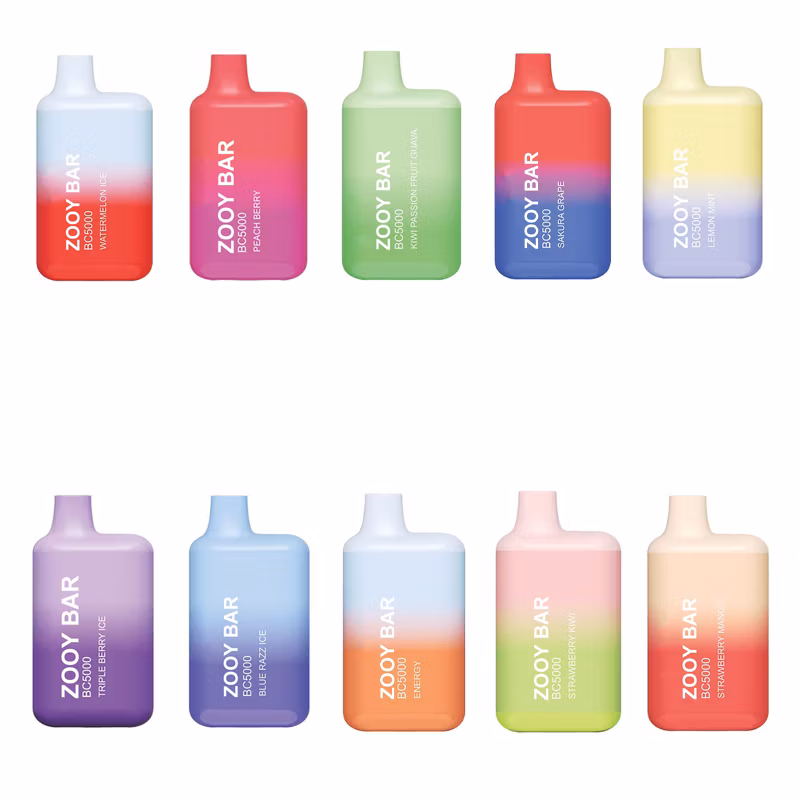 2024 New Released 25ml E-Liquid Type-C Rechargeable Disposable Vape Pod Savage Bubble 15000 Puff 10 Flavors Disposable Vape 13000 Puffs Bar Child Lock Function