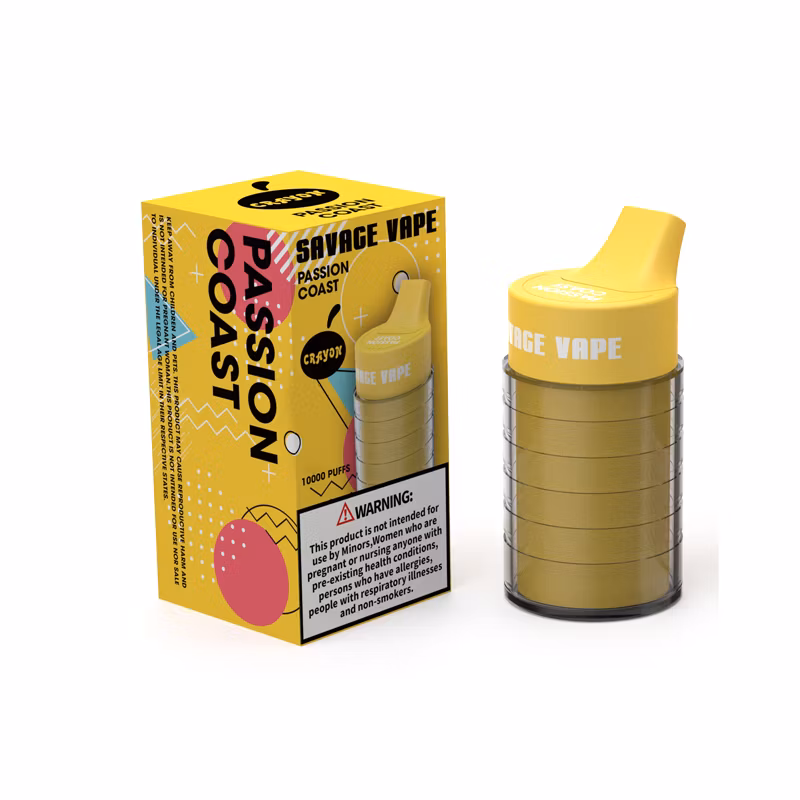 2024 New Released 25ml E-Liquid Type-C Rechargeable Disposable Vape Pod Savage Bubble 15000 Puff 10 Flavors Disposable Vape 13000 Puffs Bar Child Lock Function