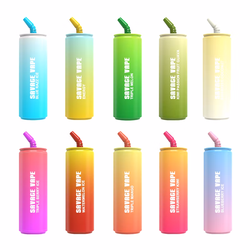 2024 New Released 25ml E-Liquid Type-C Rechargeable Disposable Vape Pod Savage Bubble 15000 Puff 10 Flavors Disposable Vape 13000 Puffs Bar Child Lock Function