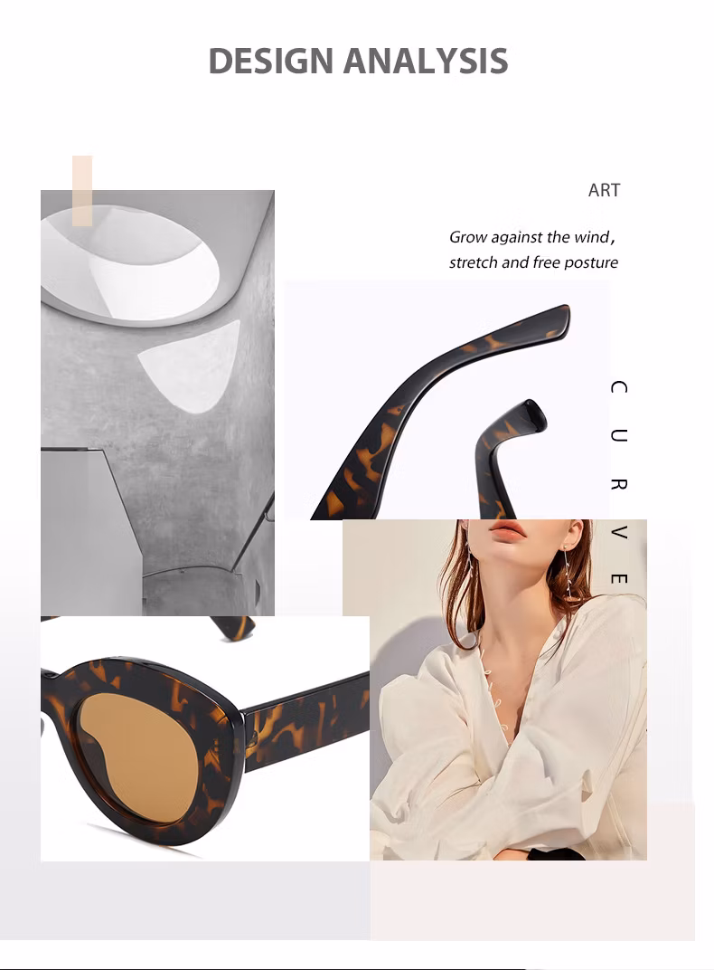 Fashion Cat Eye Y2K Vintage Amazon Wholesale Sunglasses