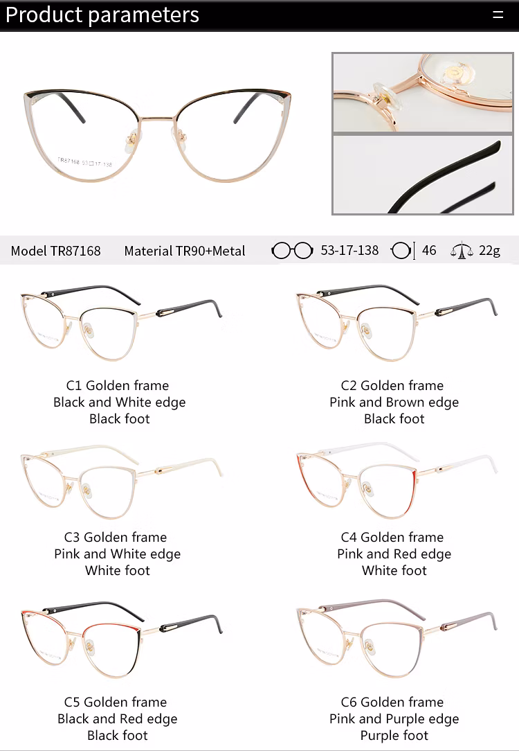 Tr87168 Hot Selling Anti Blue Light Trendy Glasses Limmed Custom Eyewear Anti Blue Light Glasses Clear