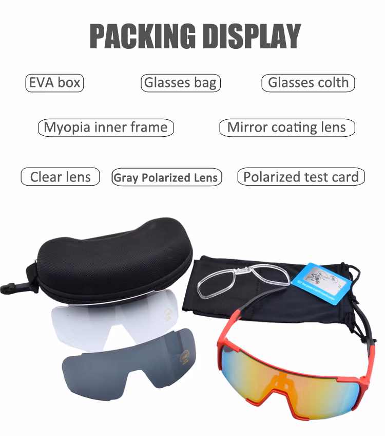 2023 Outdoor Cycling Eyewear Tr90 Sports Sunglasses Fishing Sun Glasses