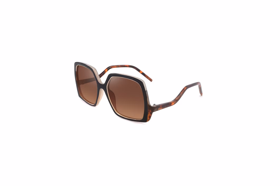 2023 Fashion High Quality Plastic Shades Custom Logo Retro Luxury Irregular Polygon Square Sunglasses