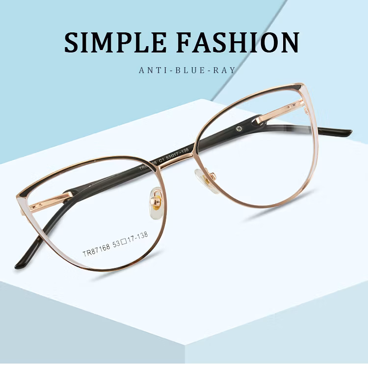 Tr87168 Hot Selling Anti Blue Light Trendy Glasses Limmed Custom Eyewear Anti Blue Light Glasses Clear