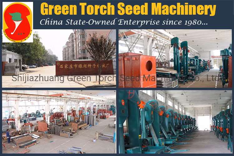 China High Quality Seed Cleaning and Coating Machine on Sale