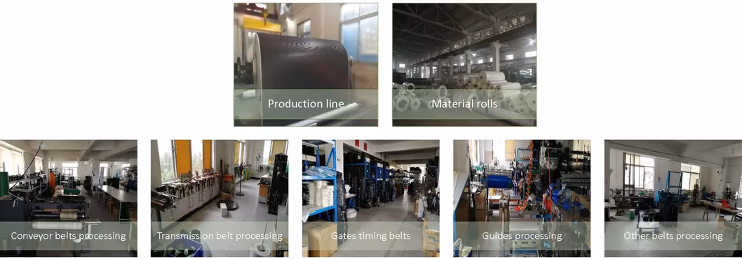 Powder Coatings Automatic Stainless Steel Band Cooling Crusher PVC Conveyor Belt for Industrial Technology Suppliers