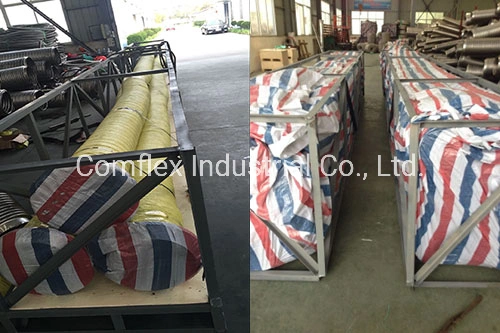 Flexible Metal Hose / Pipe with All Kinds Fittings with Wire Braided