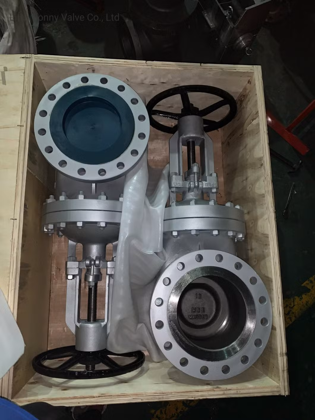 Soft Seated ANSI/DIN/JIS Cast Ductile Iron Lug Butterfly Valve Check Valve Ball Valve Globe Valve