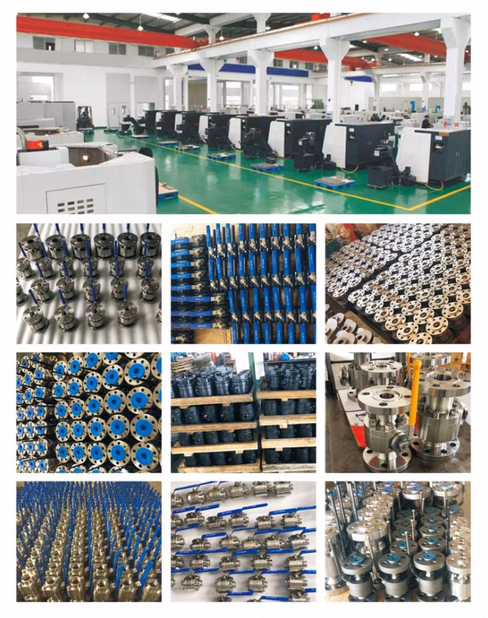 Wsw Wcw Series 6000wog Ss CS 2-PC Ball Valve
